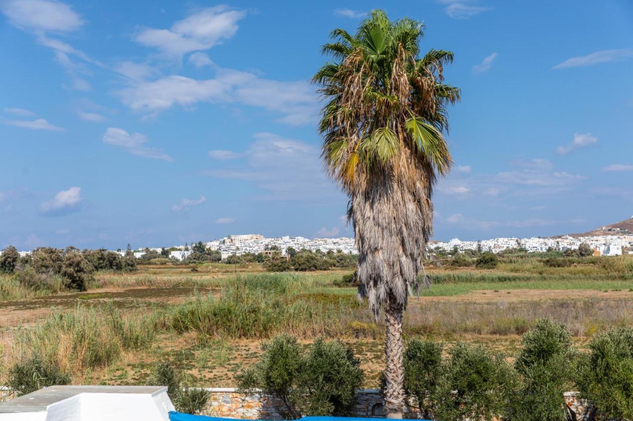 Surfer Paradise Naxos City Kültér fotó