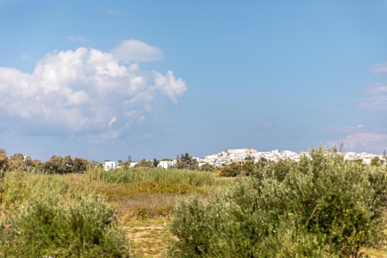 Surfer Paradise Naxos City Kültér fotó
